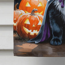 Load image into Gallery viewer, Newfoundland Puppy Halloween House Flag