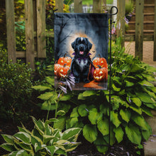 Load image into Gallery viewer, Newfoundland Puppy Halloween Garden Flag