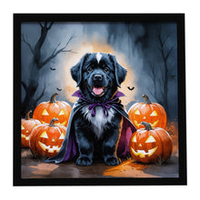Load image into Gallery viewer, Newfoundland Puppy Halloween Framed Metal Print