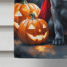 Load image into Gallery viewer, Weimaraner Puppy Halloween House Flag