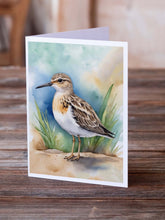 Load image into Gallery viewer, Buff-breasted Sandpiper Bird Greeting Cards Pack of 8
