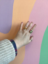 Load image into Gallery viewer, Titanium Summer Garden Signet Rings