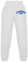 Load image into Gallery viewer, Delaware Established Sweatpants