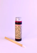 Load image into Gallery viewer, Hibiscus Lip Stain