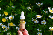 Load image into Gallery viewer, Wild Flower Hair Serum