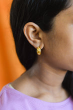 Load image into Gallery viewer, Sparkly Titanium Hoop Earrings