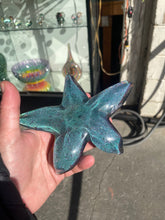 Load image into Gallery viewer, Coronado Sparkle Starfish