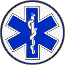 Load image into Gallery viewer, PBX-009-D EMT EMS Paramedic caduceus Fire Rescue lapel pin