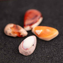 Load image into Gallery viewer, Cut Into Shape Mexican Fire Opal Set Four Pieces