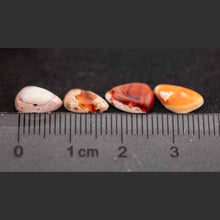 Load image into Gallery viewer, Cut Into Shape Mexican Fire Opal Set Four Pieces