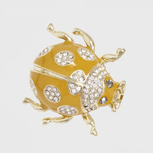 Load image into Gallery viewer, Enamel bug clip set