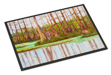Load image into Gallery viewer, Bayou by Ferris Hotard Doormat - 24x36 Decorative Floor Mat – Indoor/Outdoor Rug with Artistic Flair