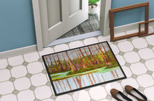 Load image into Gallery viewer, Bayou by Ferris Hotard Doormat - 18x27 Decorative Floor Mat – Indoor/Outdoor Rug with Artistic Flair