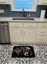Load image into Gallery viewer, Cozy Pals with Cavalier Spaniel Machine Washable Memory Foam Mat FMF0022RUG