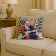 Load image into Gallery viewer, Black Labrador Retriever with Santa Claus Throw Pillow