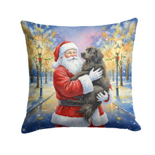 Load image into Gallery viewer, Newfoundland with Santa Claus Throw Pillow
