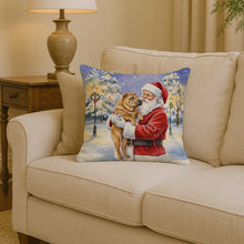 Load image into Gallery viewer, Shar Pei with Santa Claus Throw Pillow