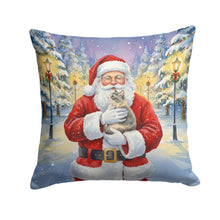 Load image into Gallery viewer, Dilute Tortoiseshell Cat with Santa Claus Throw Pillow