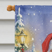 Load image into Gallery viewer, Exotic Shorthair Cat with Santa Claus House Flag