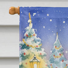 Load image into Gallery viewer, Korat Cat with Santa Claus House Flag