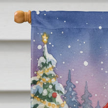 Load image into Gallery viewer, Lykoi Cat with Santa Claus House Flag