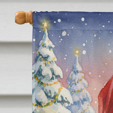 Load image into Gallery viewer, Mackerel Tabby Brown Cat with Santa Claus House Flag