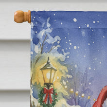 Load image into Gallery viewer, MaineCoon Black &amp; White Cat with Santa Claus House Flag