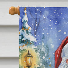 Load image into Gallery viewer, MaineCoon Brown Tabby Cat with Santa Claus House Flag