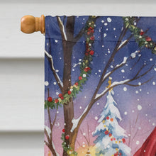 Load image into Gallery viewer, Patched Tabby Cat with Santa Claus House Flag