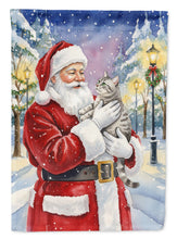 Load image into Gallery viewer, Silver Classic Tabby Cat with Santa Claus House Flag