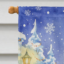 Load image into Gallery viewer, Silver Mackerel Tabby Cat with Santa Claus House Flag