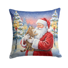 Load image into Gallery viewer, Ticked Tabby Brown Cat with Santa Claus Throw Pillow