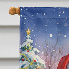 Load image into Gallery viewer, Amazon Parrot with Santa Claus House Flag