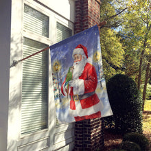 Load image into Gallery viewer, Brown Headed Pionus Parrot with Santa Claus House Flag