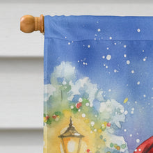 Load image into Gallery viewer, Congo African Grey Parrot with Santa Claus House Flag