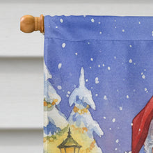 Load image into Gallery viewer, Eastern Rosella with Santa Claus House Flag