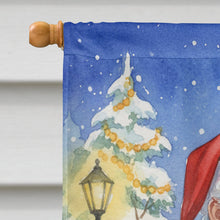 Load image into Gallery viewer, Gouldian Finch with Santa Claus House Flag