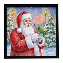 Load image into Gallery viewer, Hahn’s Macaw Parrot with Santa Claus Framed Metal Print