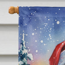 Load image into Gallery viewer, Lovebird with Santa Claus House Flag
