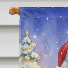 Load image into Gallery viewer, Macaw with Santa Claus House Flag