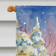 Load image into Gallery viewer, Parrot with Santa Claus House Flag