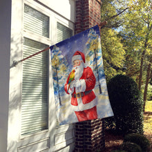 Load image into Gallery viewer, Sun Conure with Santa Claus House Flag