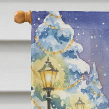 Load image into Gallery viewer, Sun Conure with Santa Claus House Flag