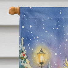 Load image into Gallery viewer, Umbrella Cockatoo with Santa Claus House Flag