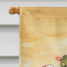 Load image into Gallery viewer, Santa Claus Decorating a Cactus Christmas House Flag