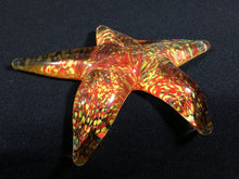 Load image into Gallery viewer, Fire Dance Starfish