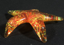 Load image into Gallery viewer, Fire Dance Starfish