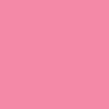 Load image into Gallery viewer, Pro Lip Color Lipstick
