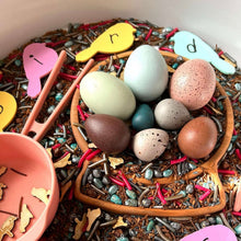 Load image into Gallery viewer, 12 Pcs Wooden Bird Eggs Set