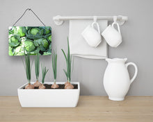 Load image into Gallery viewer, Cabbage by Gary Kwiatek Wall or Door Hanging Prints